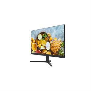 HIKVISION DS-D5024FN10 24