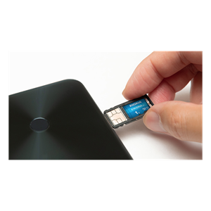 KIOXIA 1TB ExceriaG2, LMEX2L001TG2 U1 V30 4K,  CL10, 100Mb/s, MicroSD Kart Bellek (SD Adaptörlü)