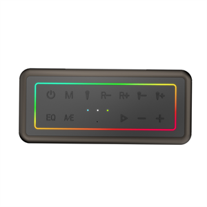 MICROLAB M60 Vega, 100W, Taşınabilir, BT/USB/AUX/TF/Type-C, RGB Işıklı, 15000mAh Batarya, 2adet Mikrofon, Karaoke/Parti, Bluetooth Speaker,