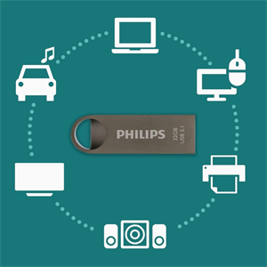 PHILIPS FM32FD165B, 32GB, USB 3.1, Moon, Uzay Grisi, Flash Disk