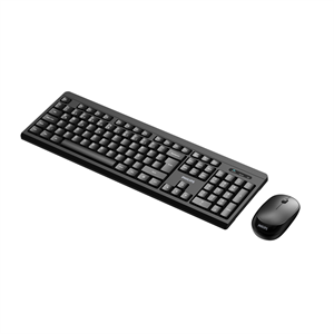 PHILIPS SPT6324B, Siyah, Türkçe Q, 2.4Ghz Kablosuz, Klavye Mouse Set
