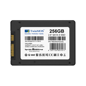 TwinMOS TM256GH2UGL, 256GB, 2.5