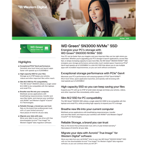 WD Green SN3000, WDS100T4G0E, 1TB, 5000/4200, Gen4, NVMe PCIe M.2 2280, SSD