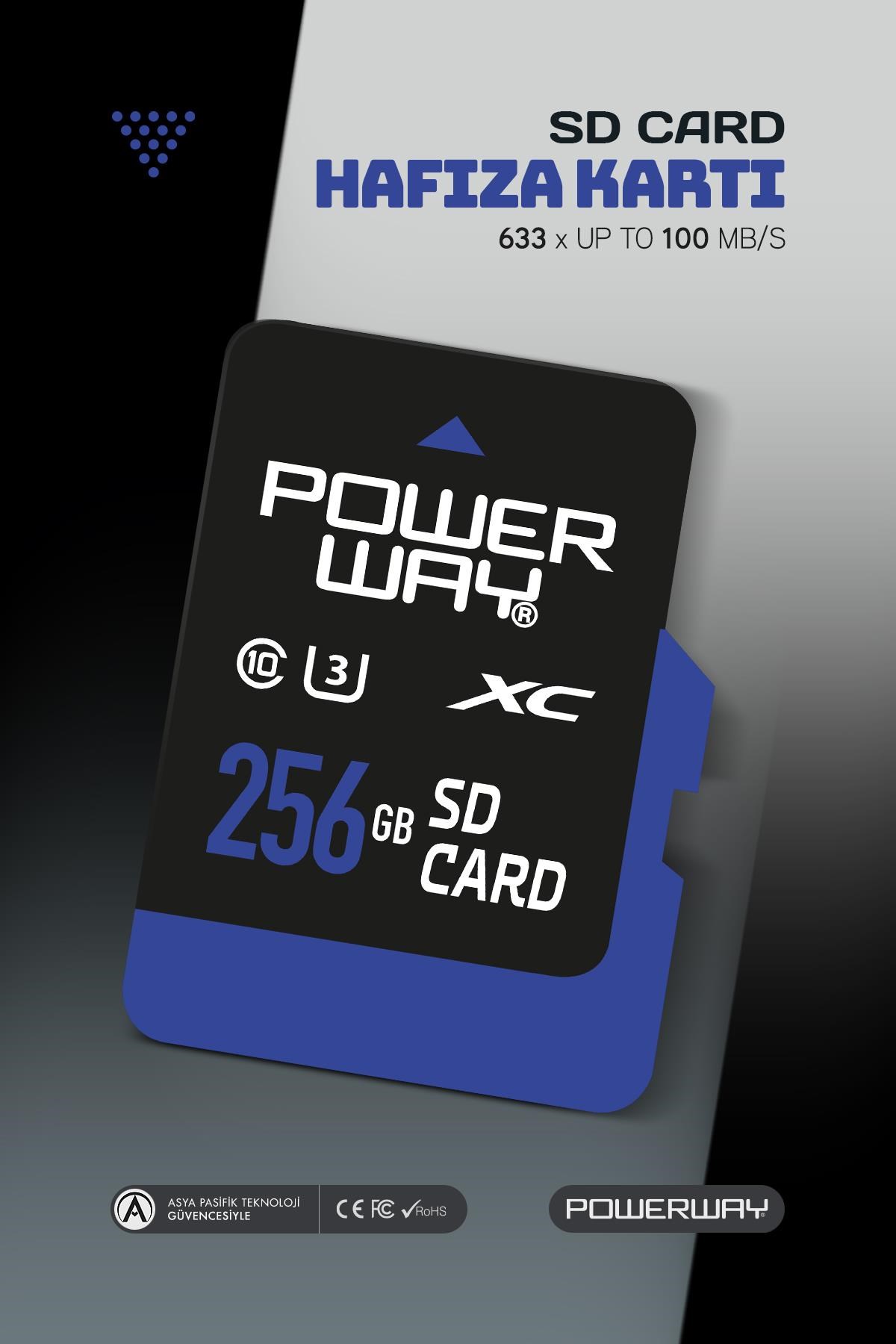 Powerway 256 GB Metal Usb Flash Bellek Usb 2.0 Data Traveler
