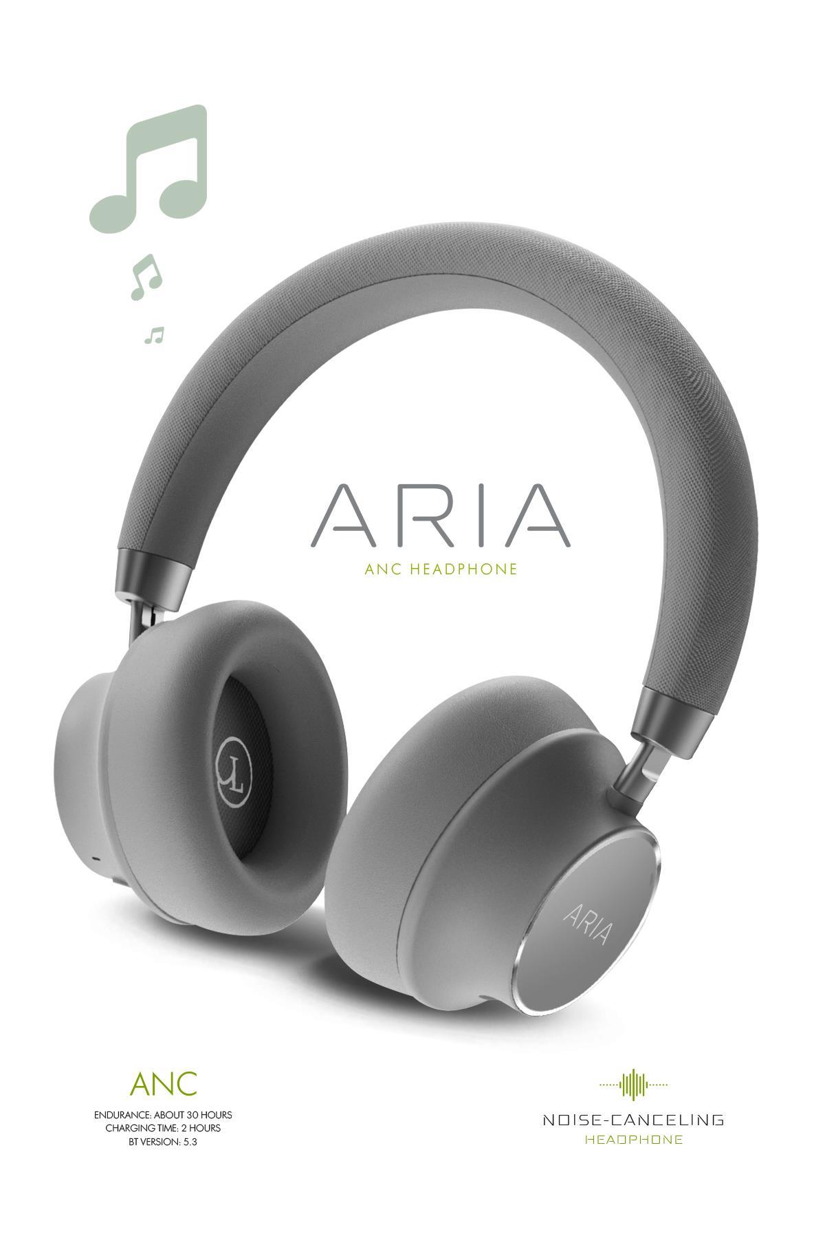 Powerway Aria Kulak Üstü Bluetooth Kulaklık Gümüş Kablosuz Ayarlanabilir Aktif Gürültü Önleyici