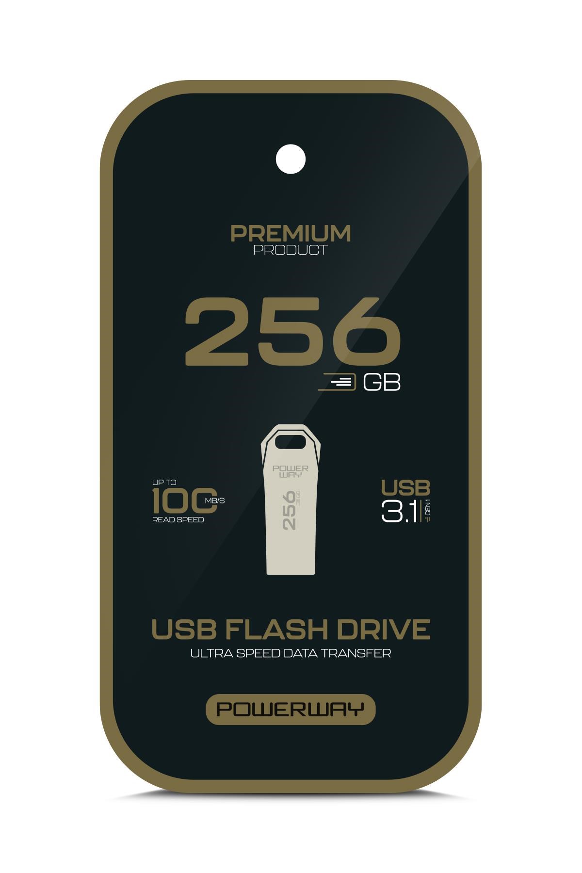 Powerway Premium 256 GB USB 3.1 Metal Gövde Ultra Hızlı Flash Bellek Data Traveler
