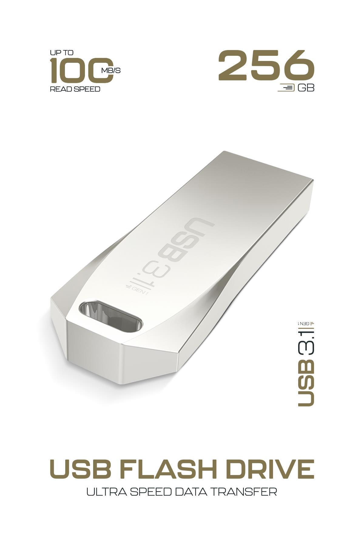 Powerway Premium 256 GB USB 3.1 Metal Gövde Ultra Hızlı Flash Bellek Data Traveler