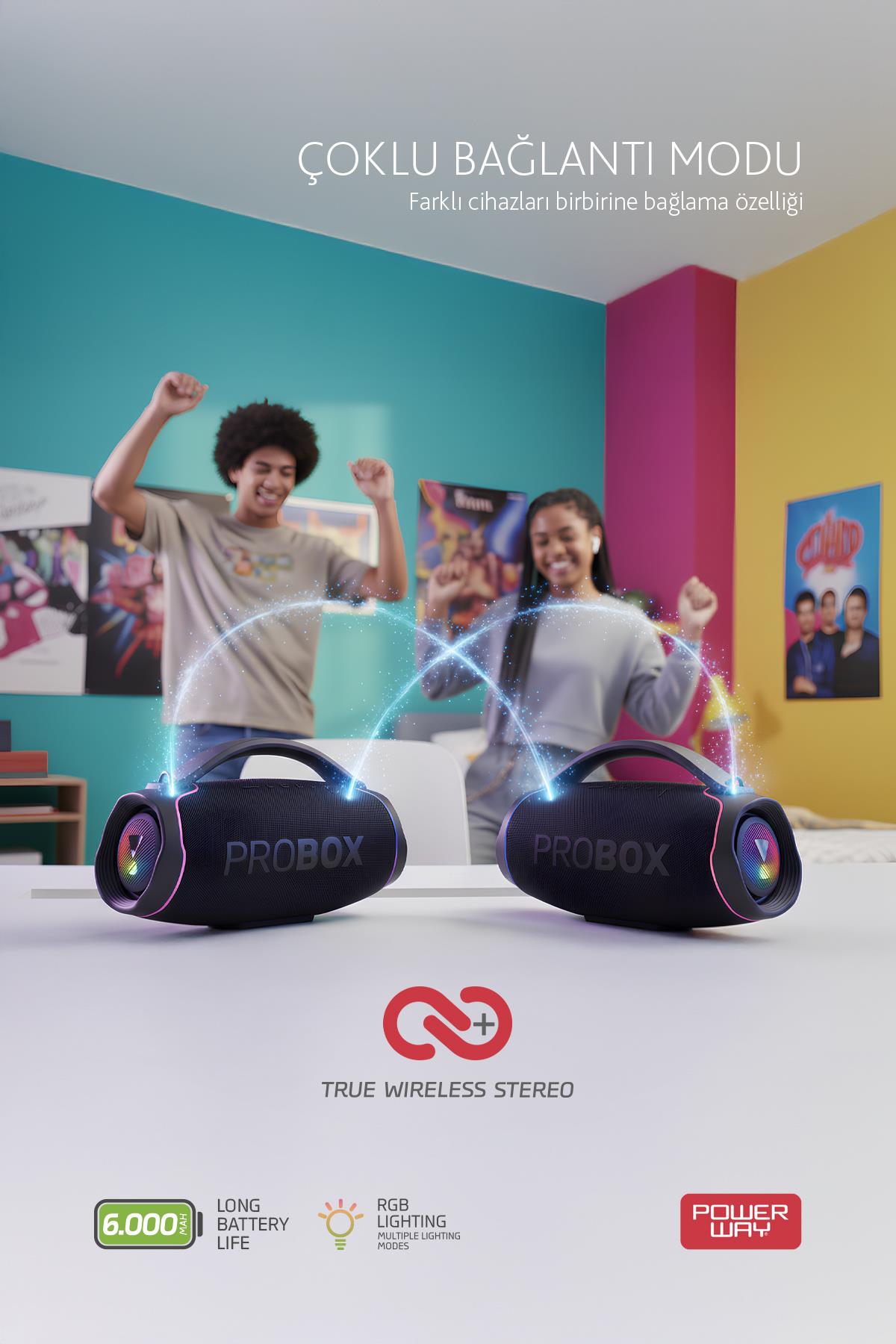Probox 110W Güç Usb Hafıza Kartı Aux Fm Led Işıklı Bluetooth Hoparlör Hi-Fi Ses Bombası