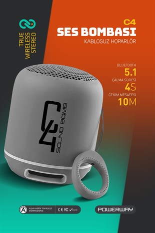 Powerway C4 Gümüş Bluetooth Hoparlör Sese Duyarlı Led Işık