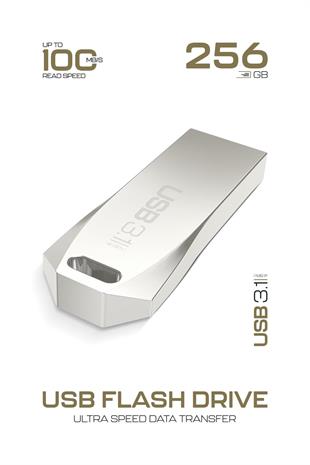 Powerway Premium 256 GB USB 3.1 Metal Gövde Ultra Hızlı Flash Bellek Data Traveler