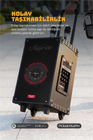 Powerway Şarjlı Çift Mikrofonlu Hoparlör Karaoke Sistemi Taşınabilir Amfi MT70 Bluetooth Hoparlör