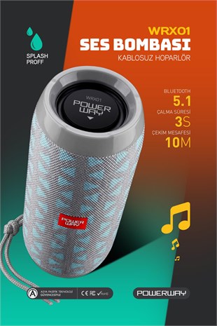 Powerway WRX01 Gümüş SD Kart Aux Usb Girişli Kablosuz FM Radyo Bluetooh Hoparlör