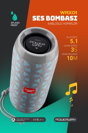 Powerway WRX01 Gümüş SD Kart Aux Usb Girişli Kablosuz FM Radyo Bluetooh Hoparlör