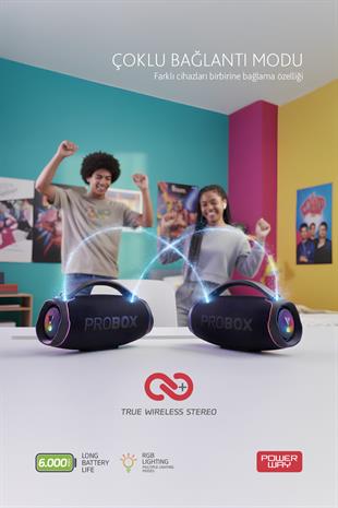 Probox 110W Güç Usb Hafıza Kartı Aux Fm Led Işıklı Bluetooth Hoparlör Hi-Fi Ses Bombası
