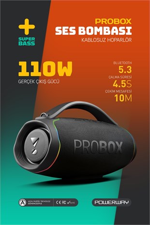 Probox 110W Güç Usb Hafıza Kartı Aux Fm Led Işıklı Bluetooth Hoparlör Hi-Fi Ses Bombası