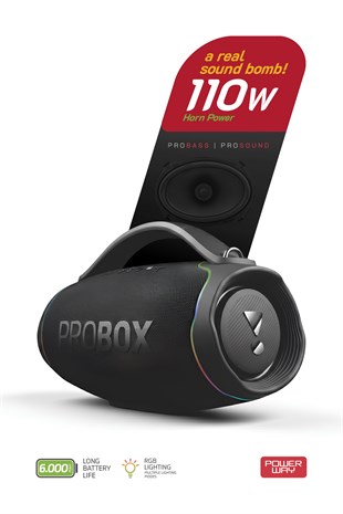 Probox 110W Güç Usb Hafıza Kartı Aux Fm Led Işıklı Bluetooth Hoparlör Hi-Fi Ses Bombası