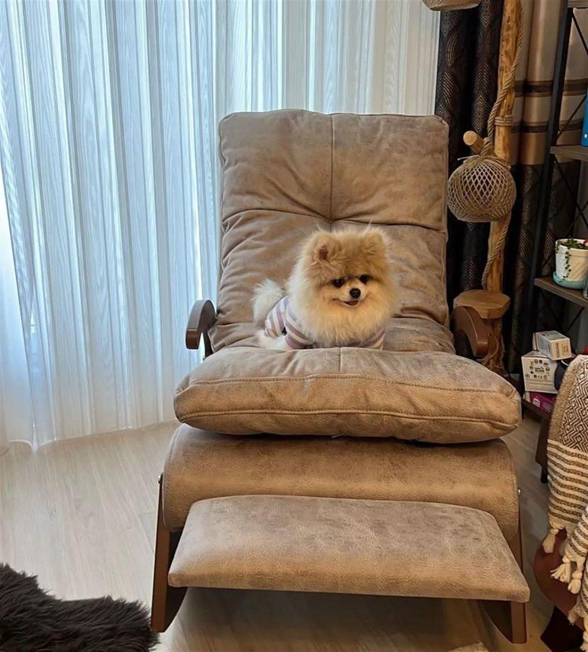 Ego Sallanan Tv Dinlenme Koltuğu