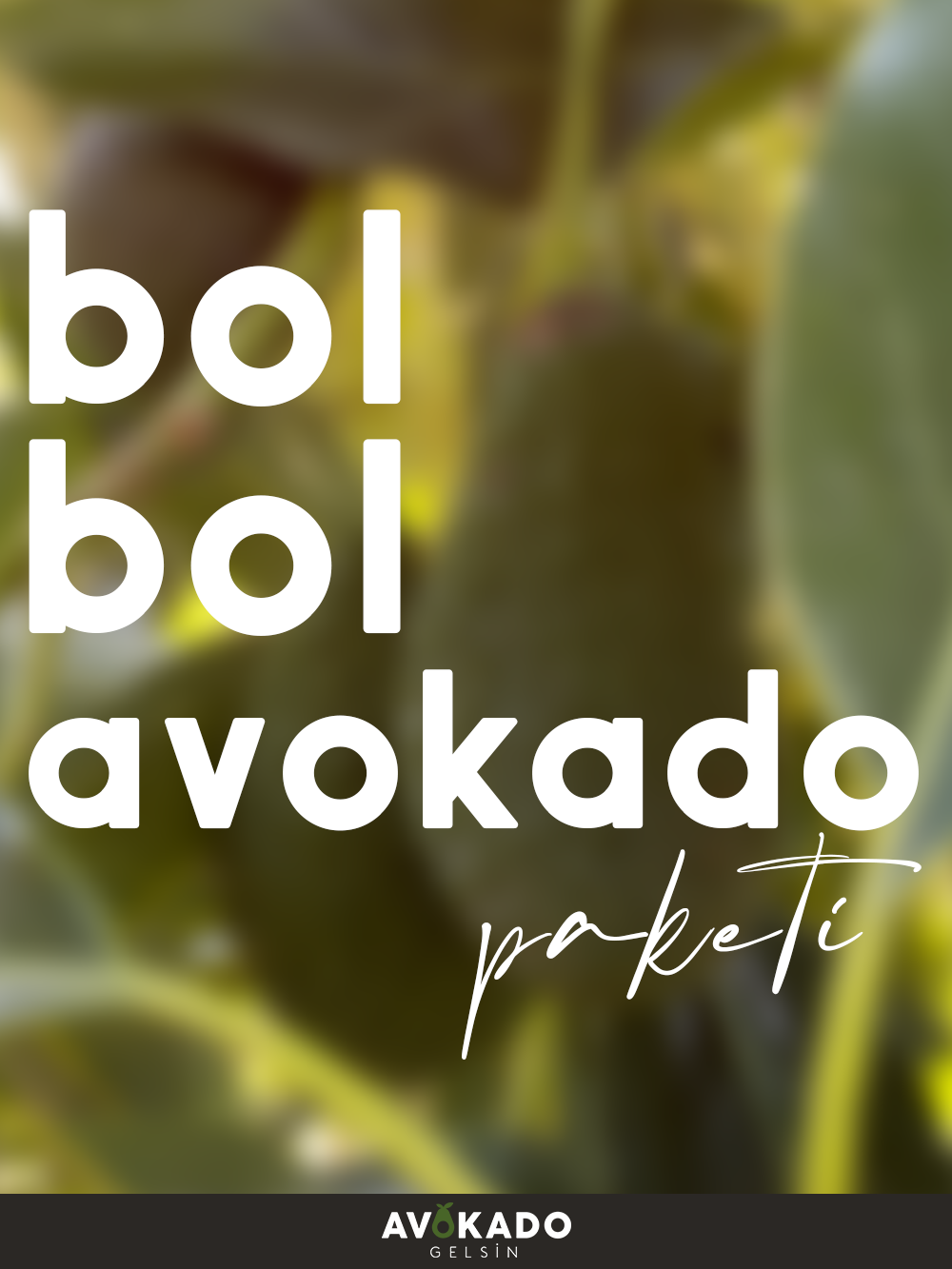 Bol Bol Avokado Paketi