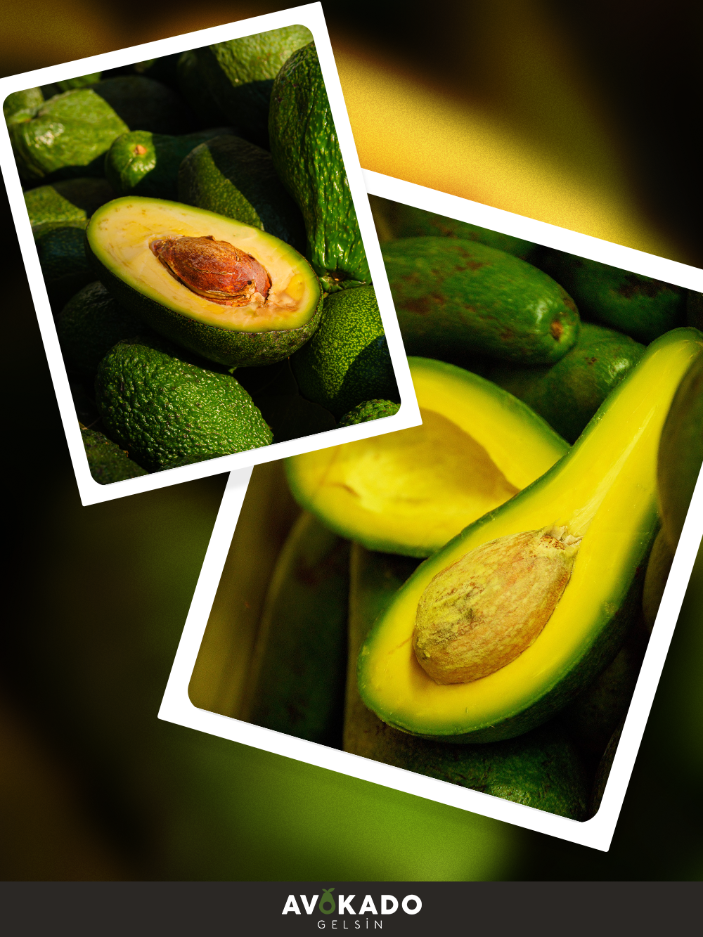 Organik Bebek Avokado 500 Gram