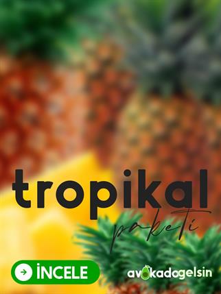Tropikal Paketi