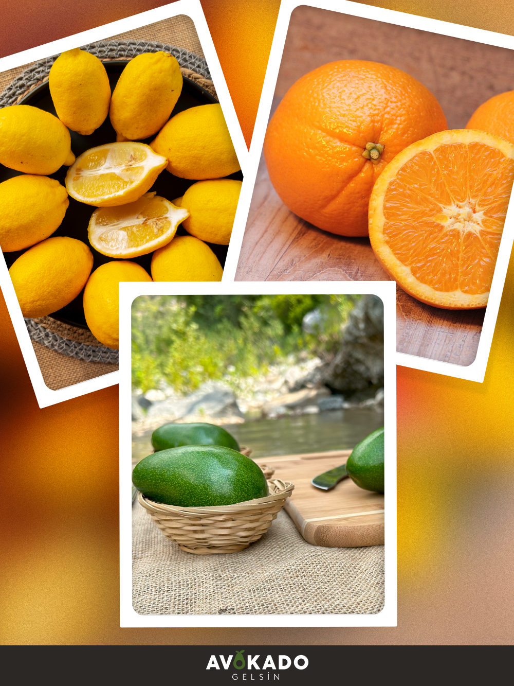 20 Adet Erkenci (Clifton) Avokado + 1 Kg Limon + 1 Adet Ejder Meyvesi