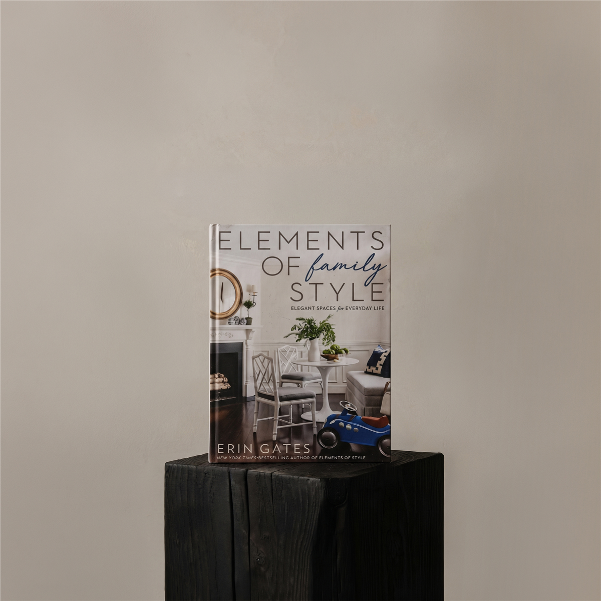 Elements Of Family Style Kitap Kutusu