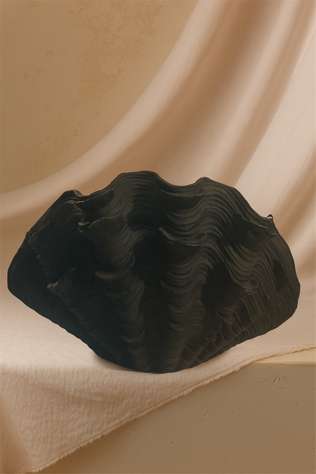 Siyah İstiridye Vazo