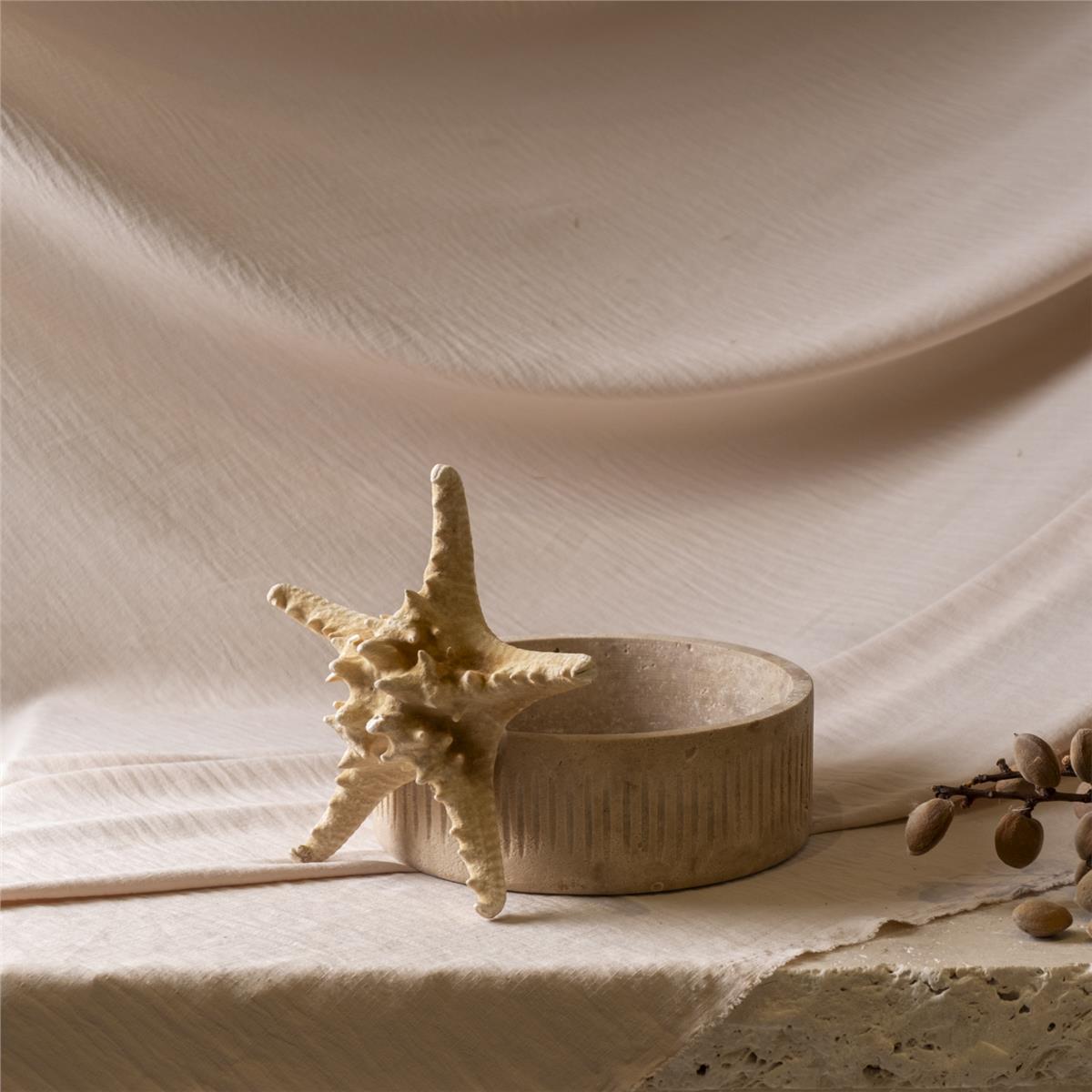 Deniz Yıldızı Kandıra Kase Küçük