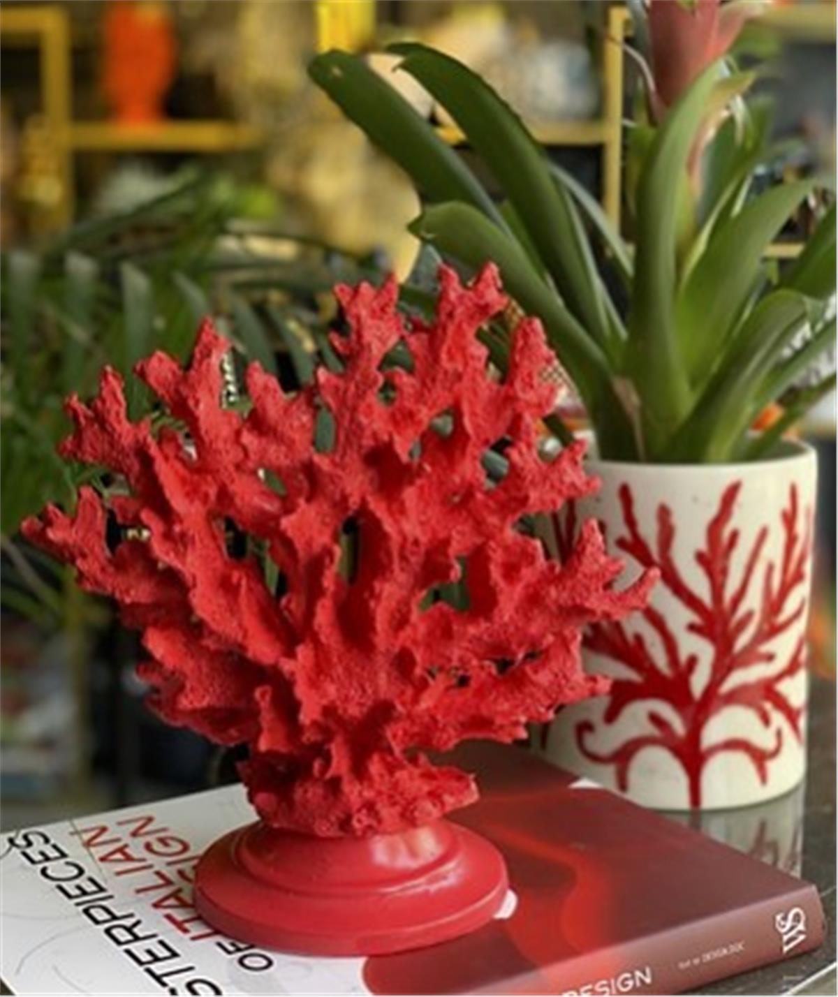 Kırmızı İnce Mercan 2 'Li 