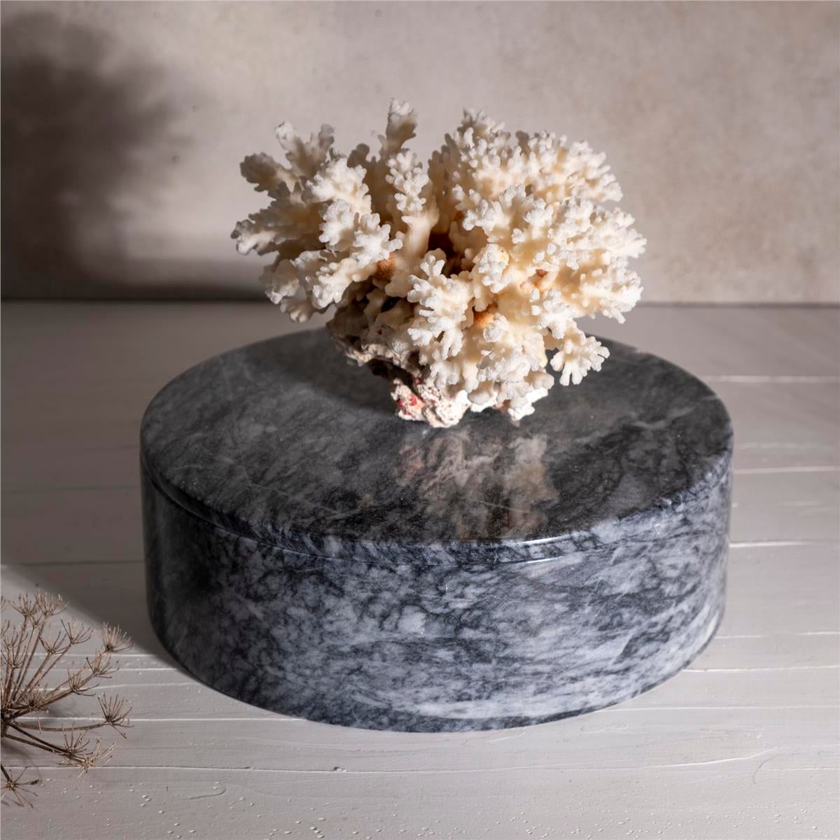 Doğal Mercan Kapaklı Bursa Siyahı Büyük Kutu 