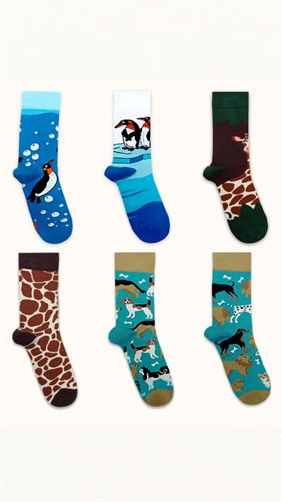 6 UNISEX PATTERNED COTTON SEAMLESS SOCKS COFFEE BEIGE GREEN BLUE TONES