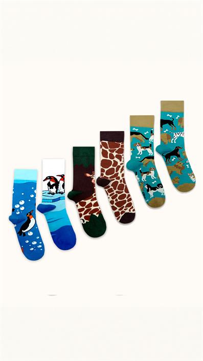6 UNISEX PATTERNED COTTON SEAMLESS SOCKS COFFEE BEIGE GREEN BLUE TONES
