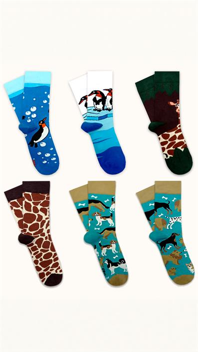 6 UNISEX PATTERNED COTTON SEAMLESS SOCKS COFFEE BEIGE GREEN BLUE TONES