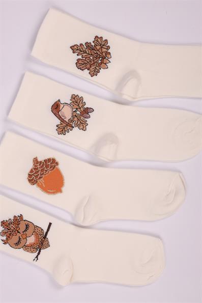 مجموعة من 4 جوارب بناتي منقوشة على شكل بومة ASORTI
