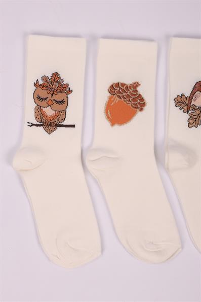 مجموعة من 4 جوارب بناتي منقوشة على شكل بومة ASORTI