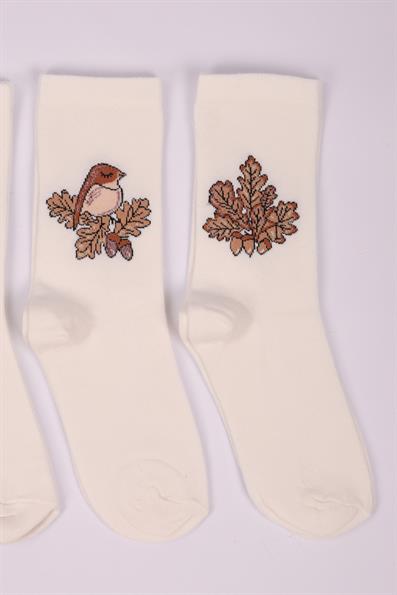 مجموعة من 4 جوارب بناتي منقوشة على شكل بومة ASORTI