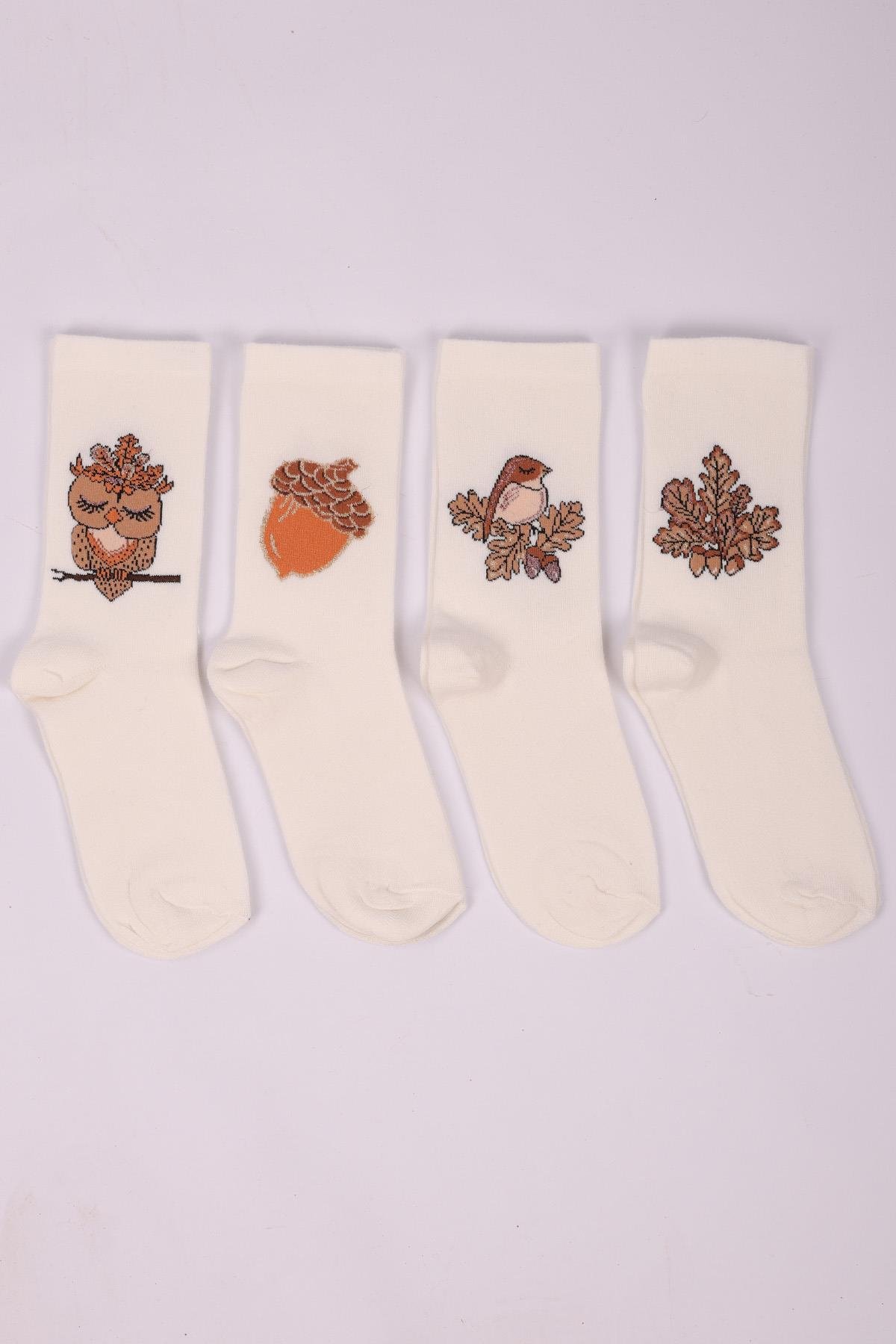 مجموعة من 4 جوارب بناتي منقوشة على شكل بومة ASORTI