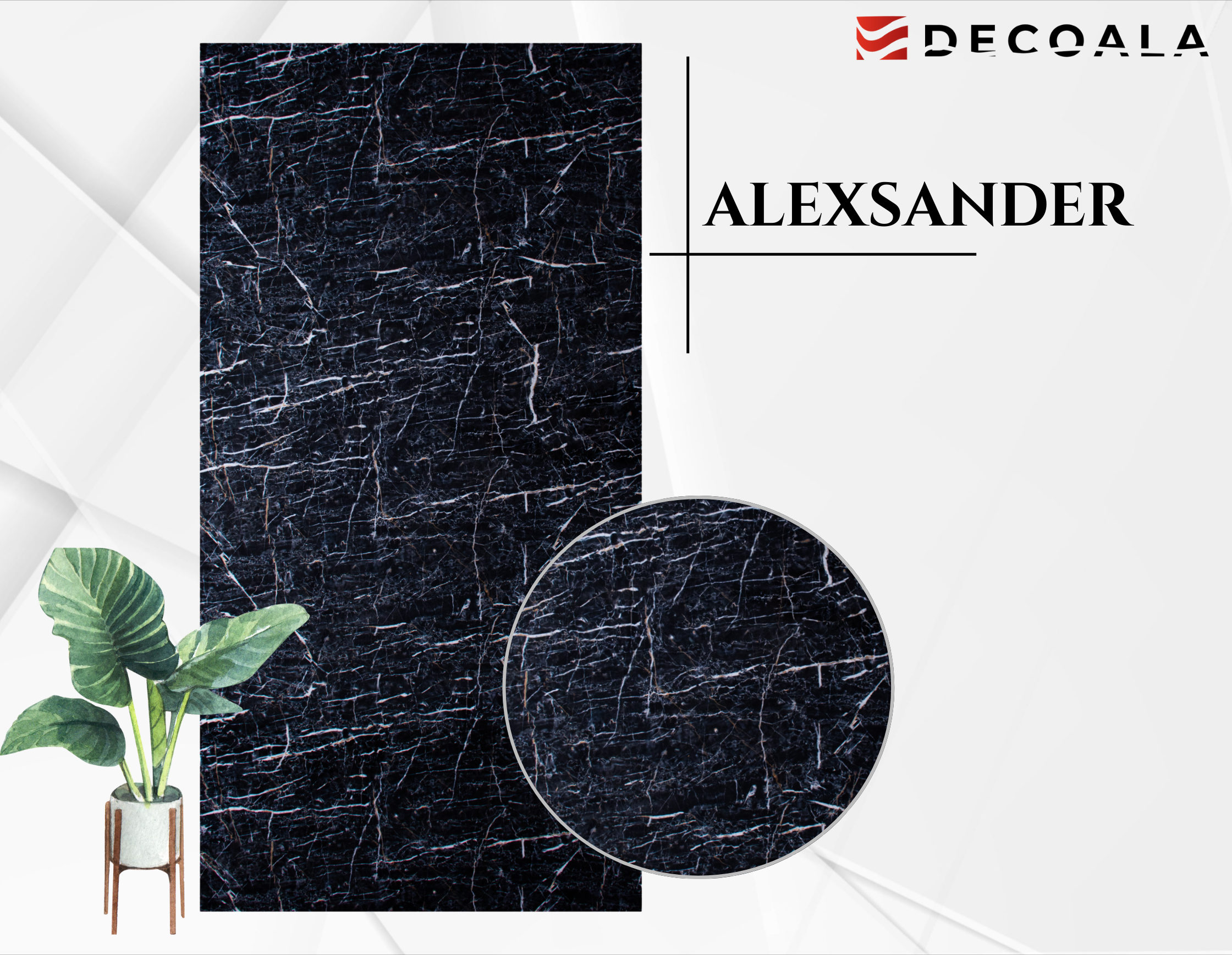 Alexander