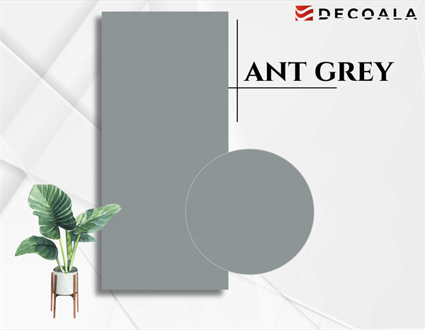 Ant Grey