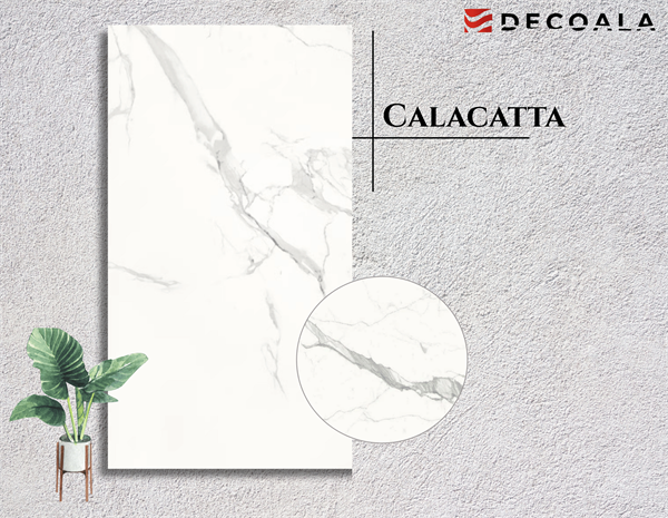 Calacatta