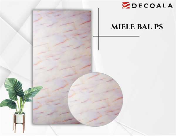 Miele Bal PS
