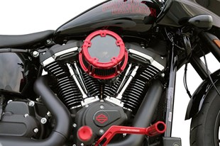 ARLEN NESS AIR CLEANER - HAVA FİTRESİ  METHOD RED KOD: 10103241