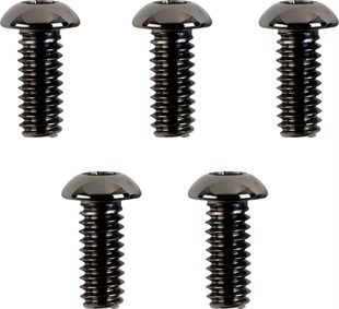 DRAG SPECIALTIES BOLT SETİ DEBRİYAJ B/C TORX KOD: 24011042