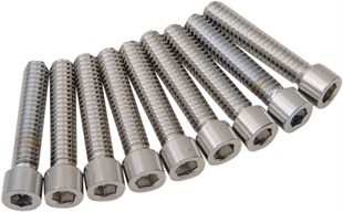 DRAG SPECIALTIES BOLT SETİ M8CAMCOV S AL CH KOD: 24010975
