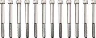 DRAG SPECIALTIES BOLT SETİ M8CRKCAS K AL CH KOD: 24010972