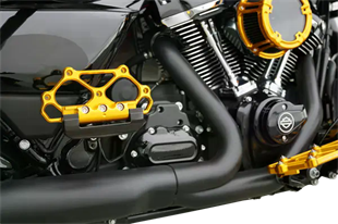 ARLEN NESS FLOORBOARD  - AYAK BORDU  PASSENGER DIAMOND GOLD KOD: 16211221