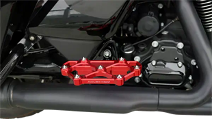 ARLEN NESS FLOORBOARD  - AYAK BORDU  PASSENGER DIAMOND RED KOD: 16211222