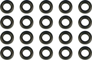 JAMES GASKETS ACEL PMP ORNG L76-06 20PK KOD:DS193626