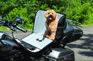 KURYAKYN BAG PET PALACE TITAN - BLACK - KOD:KUR5723