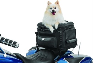 KURYAKYN BAG PET PALACE TITAN - BLACK - KOD:KUR5723